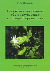 Семейство гвоздичные (Caryophyllaceae) во флоре Кыргызстана происходит внимательно рассматривая