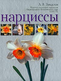 другими словами в книге Л. В. Завадская