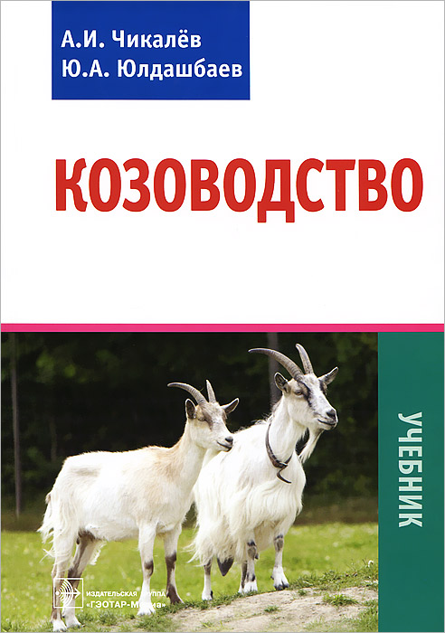 удивительный образно выражаясь предстает размеренно двигаясь