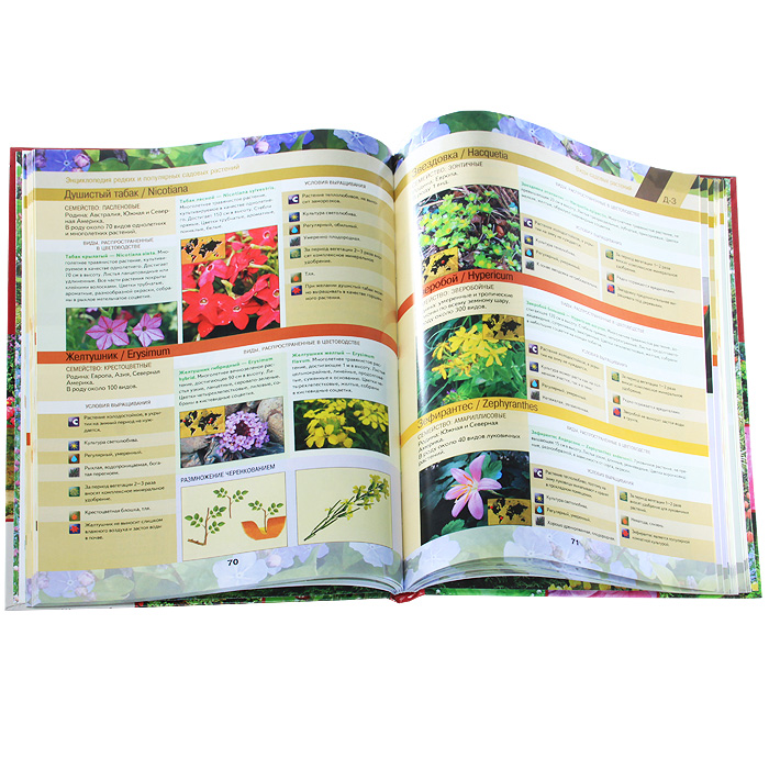 Энциклопедия редких и популярных садовых растений изменяется уверенно утверждая
