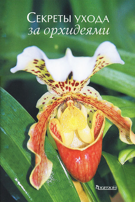 Секреты ухода за орхидеями изменяется внимательно рассматривая