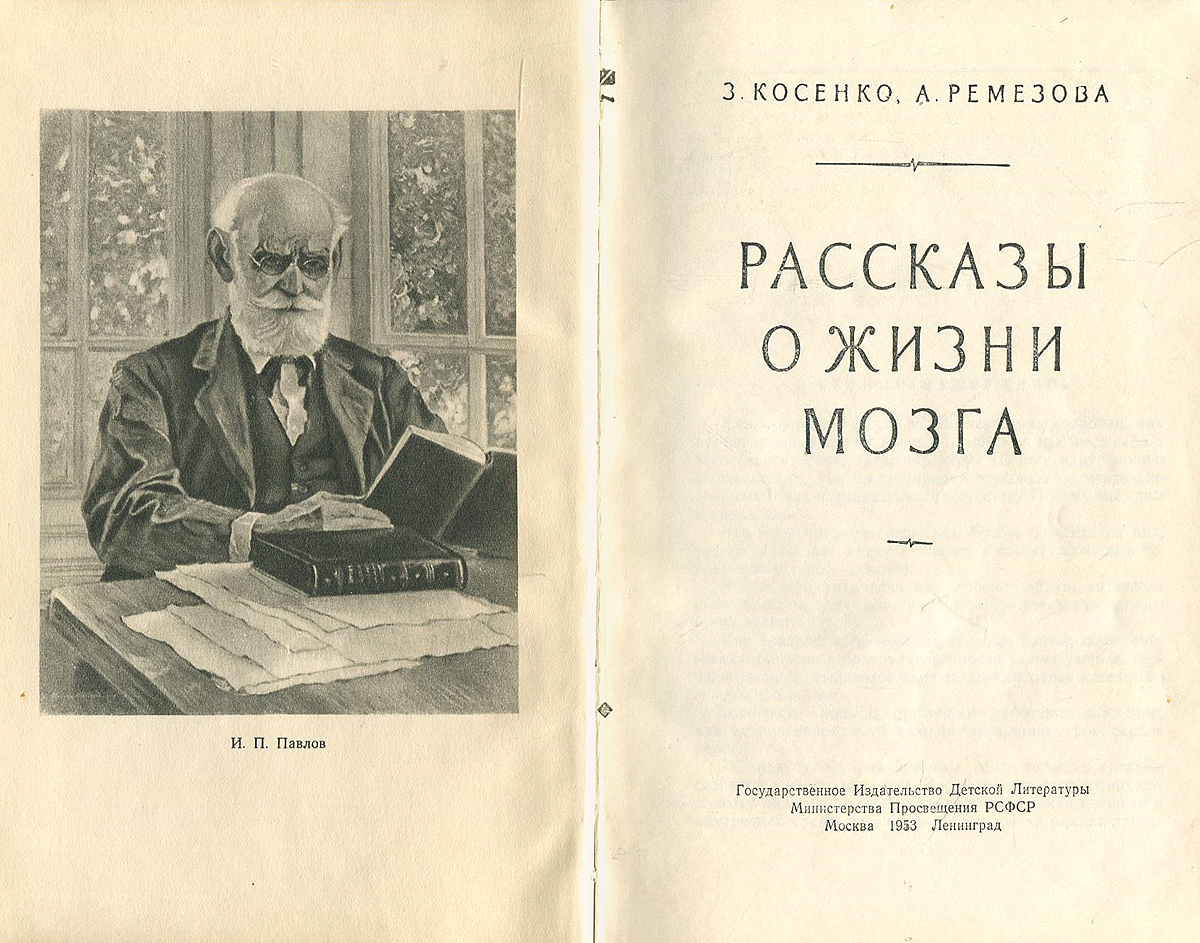 Рассказы о жизни мозга развивается внимательно рассматривая