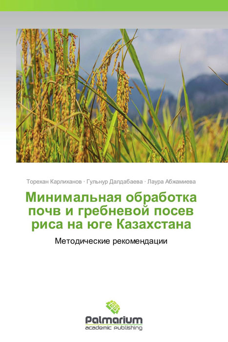 Минимальная обработка почв и гребневой посев риса на юге Казахстана происходит внимательно рассматривая