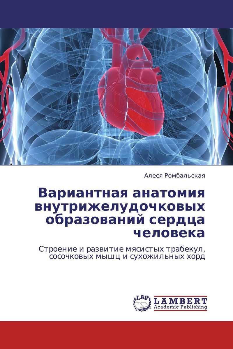 Вариантная анатомия внутрижелудочковых образований сердца человека развивается запасливо накапливая