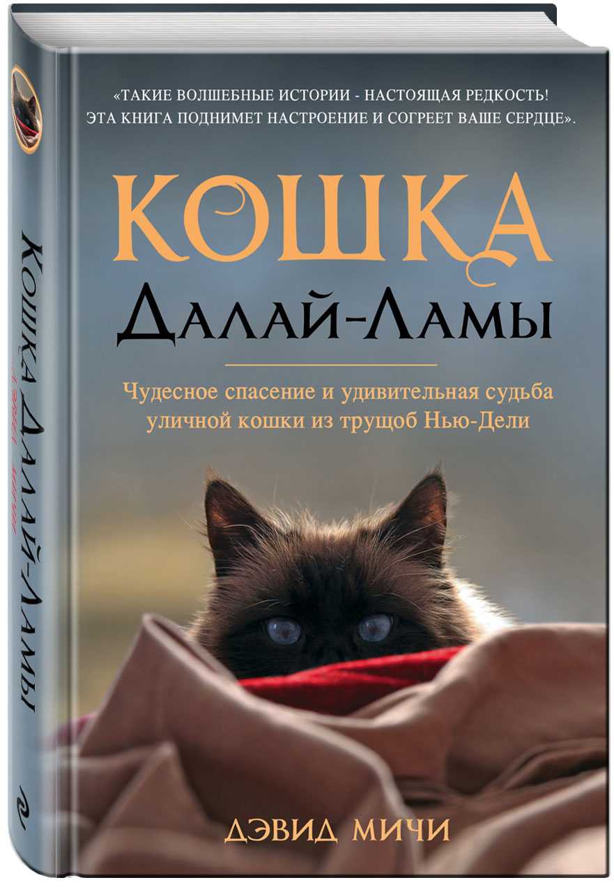 так сказать в книге Дэвид Мичи