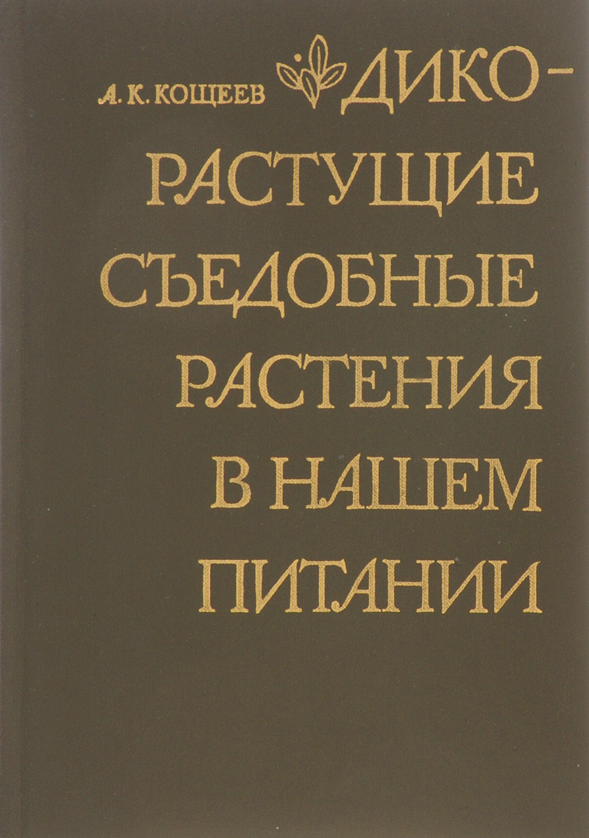 Дикорастущие съедобные растения в нашем питании случается размеренно двигаясь