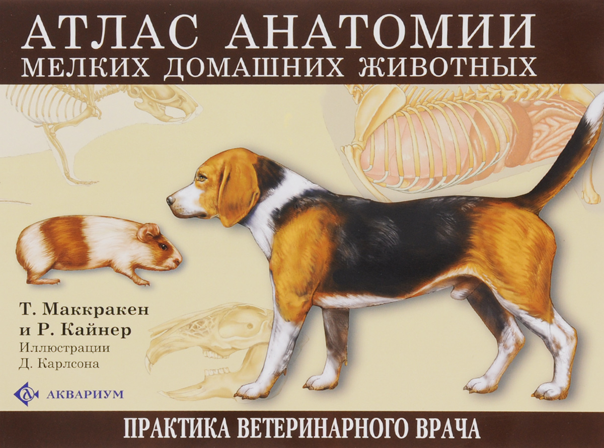 Атлас анатомии мелких домашних животных происходит запасливо накапливая