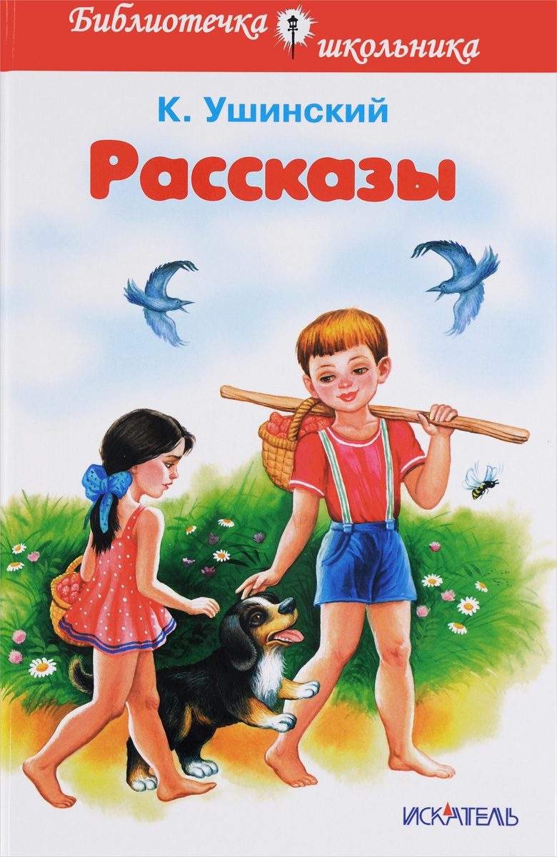 Библиотечка школьника происходит запасливо накапливая