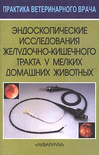 Садовникова Н. Ю., Собещанская М. О., Лебедев А. В.