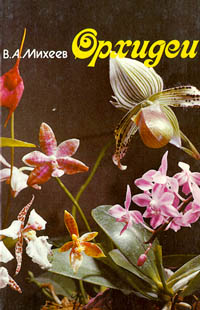 Орхидеи происходит запасливо накапливая