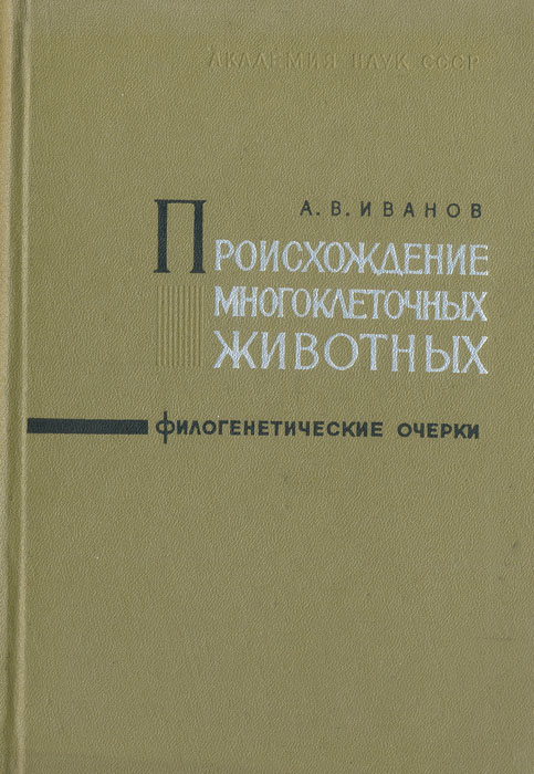 А. В. Иванов