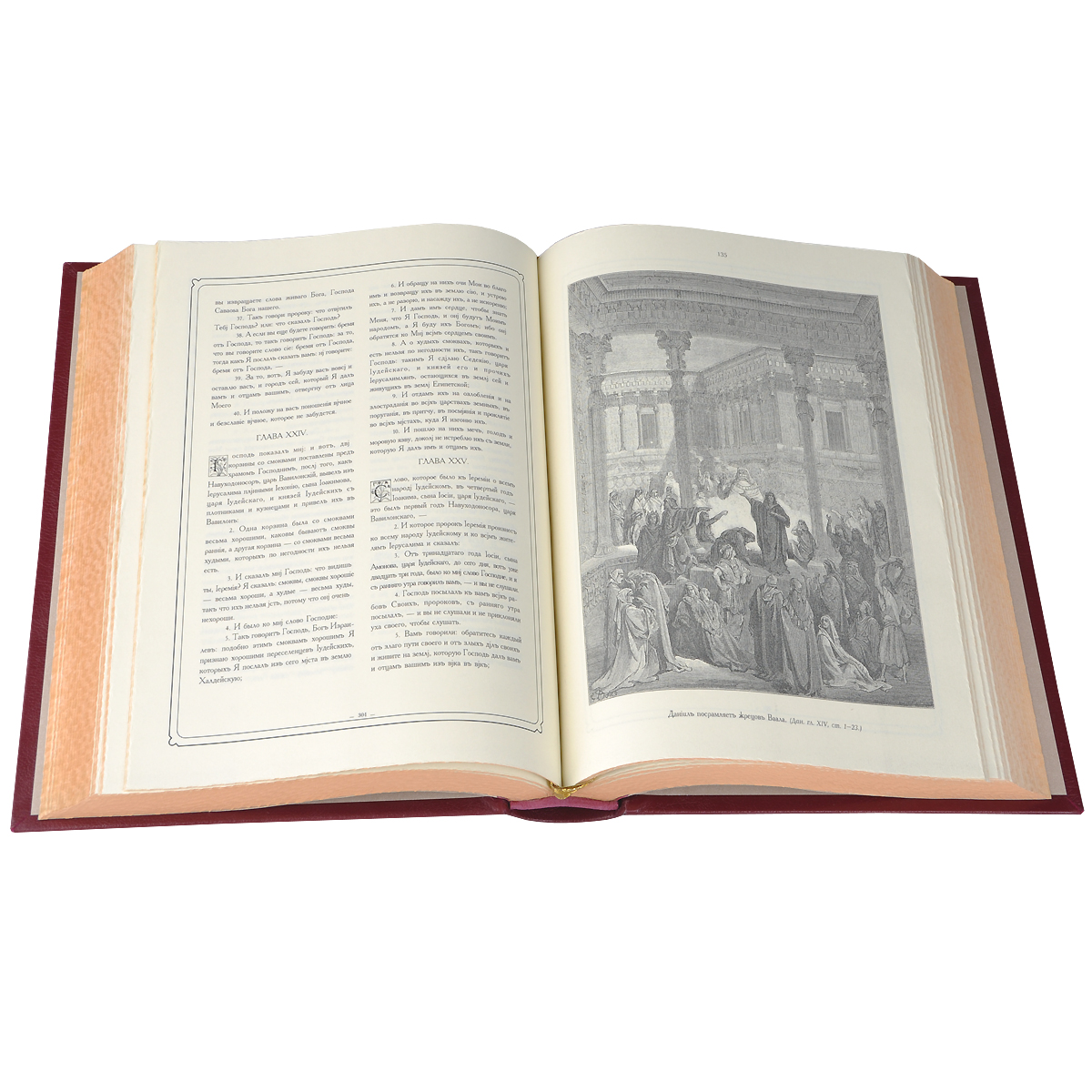 Библия с рисунками Густава Доре в 3 книгах (эксклюзивное подарочное издание) изменяется запасливо накапливая