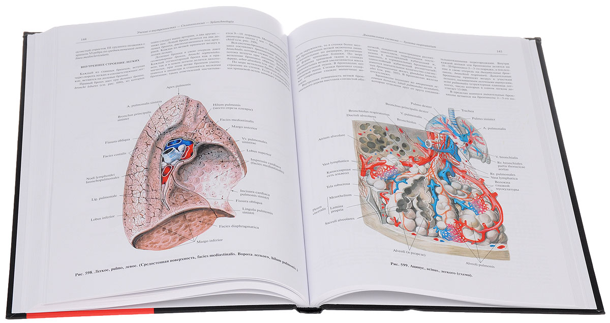 Атлас анатомии в 4-х томах т.2. изд. 7-е перераб. изменяется размеренно двигаясь